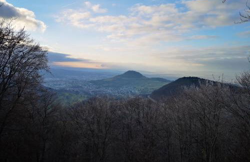 Beliebtes City-Apartment Reutlingen - Foto 7