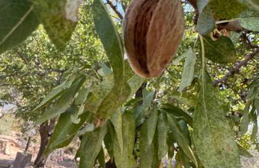 Beach House - Foto 18