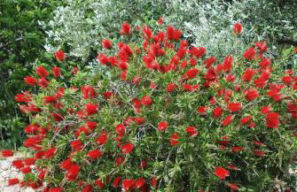 Rustic Holiday Home Miketa - Foto 76