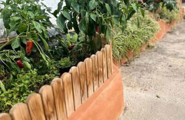 Edara Home - Vivienda completa - Photo 25