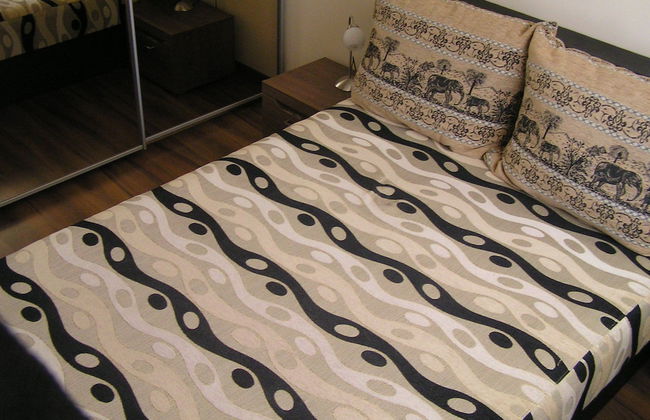 Gréta Wellness Apartmanok - Szt László u - Foto 7