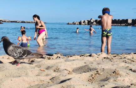 Vista Romantica Madeira - Photo 79