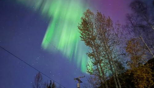 Tiny Home at Bear Mountain -Only 25 Min from Anchorage, Great Central location-Cute & Comfortable - Photo 4