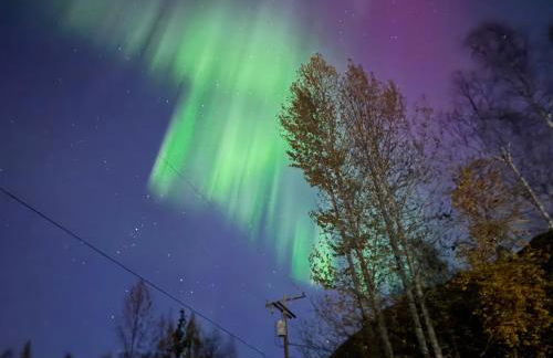 Tiny Home at Bear Mountain -Only 25 Min from Anchorage, Great Central location-Cute & Comfortable - Foto 4