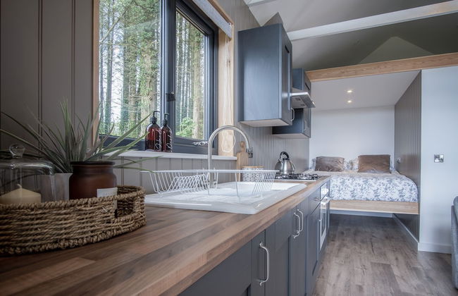 Cabin In The Woods - 1 Bed - Kilgetty - Foto 4