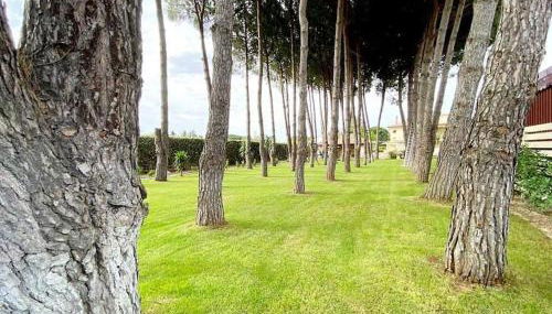 Villa Laoconte piscina, jacuzzi e biliardo - Foto 2, Garden, Garden view