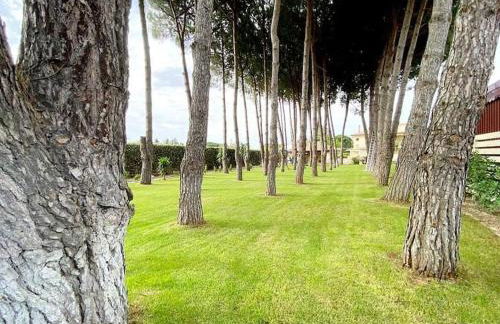 Villa Laoconte piscina, jacuzzi e biliardo - Foto 2