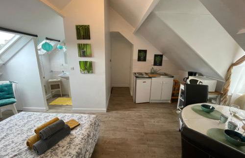 Le cocon jaune - Studio en hyper centre - Photo 12