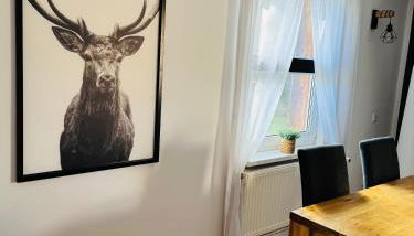 stylisches Ferienhäuschen - Foto 5