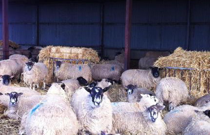 Whitchurch Farm Guesthouse - Foto 32