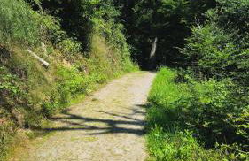 Kleine Auszeit - Foto 19