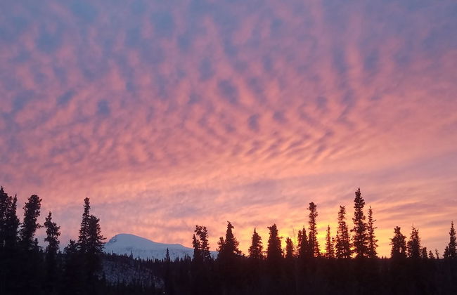 Avens Alaska - Foto 46