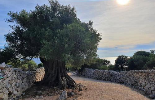 Aquarius Luxury apartment with pool and sea view - Photo 35