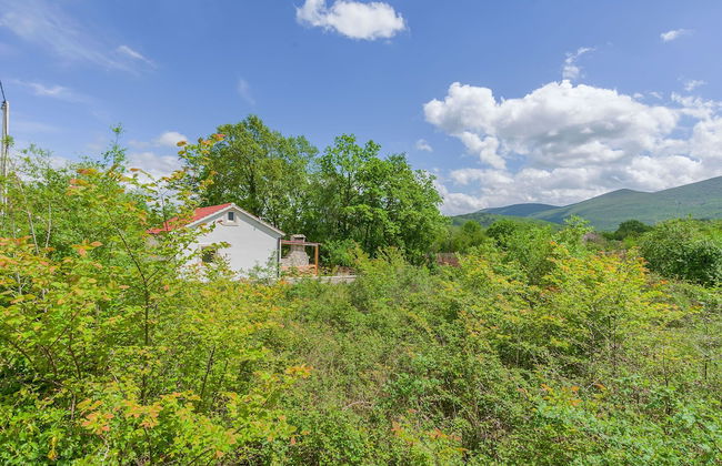 House Mali Dvori - Foto 42