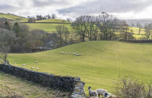 Drawell Cottage - Situated on a working farm - Foto 17