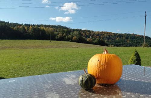 Domek Bieszczadzki Horyzont - Foto 21