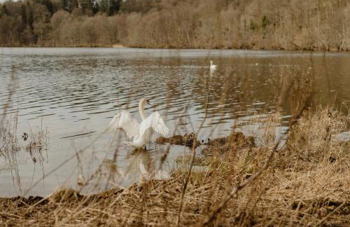 Cozy Cairnwell Farm Cottage - Foto 70