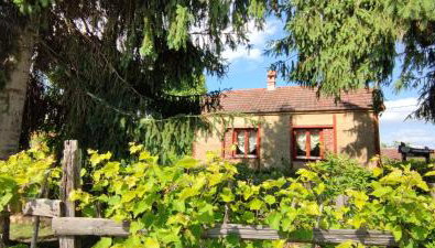 Ruralna kuća za odmor Pozojova hiža - Rural Holiday House - Foto 5