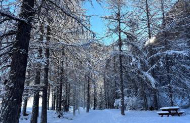 Appartement cosy entre lacs et montagnes - Foto 15