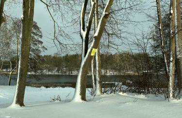 Osada Kalwa - Photo 62