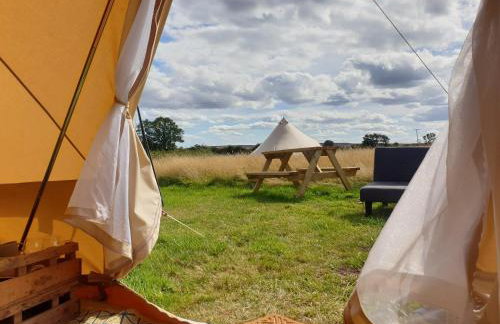 6 Guests - Bell Tent - Wood Stove - Parking - Foto 10