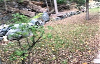 Charming Hudson Valley 3-Bedroom Family Getaway - Foto 7