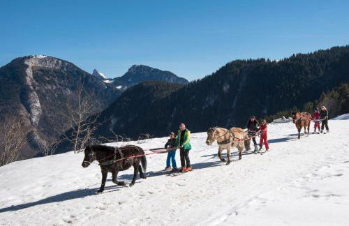 Edelweiss, Studio 5 pers, balcon sud est, vue sur les montagnes - Foto 60