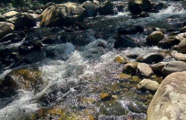 Casa de Praia Parque Mambucaba - Foto 28