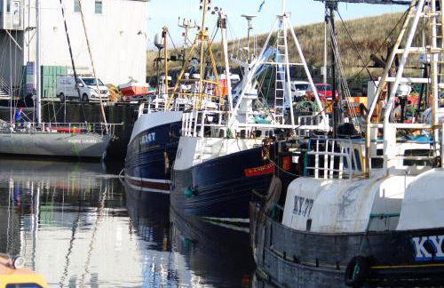 Ridley's Place modern one-bedroom seaside apartment - Photo 21