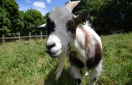 2 Bed in Taunton oc-83696 - Foto 12