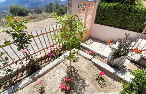 Georgia's Village House - Foto 32