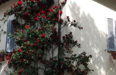 B&B Casa Zia Cianetta Residenza di Campagna - Foto 79