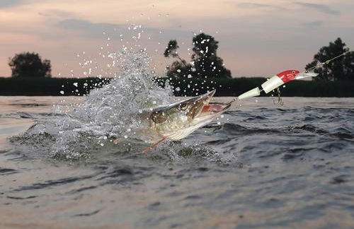 Ferienhaus H.Winkler - Foto 26