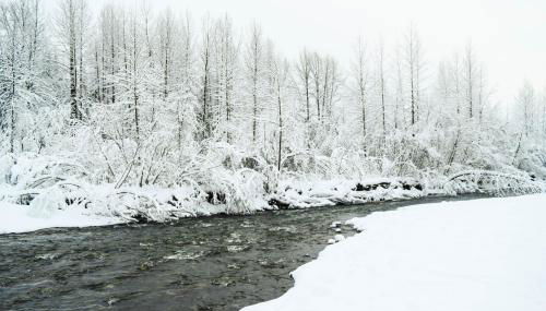 St. Moritz House & Apartment - Foto 5