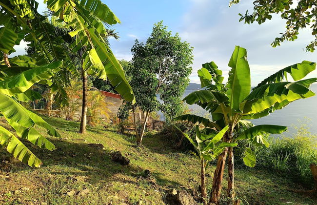 CLEMARA EVASION - Photo 52