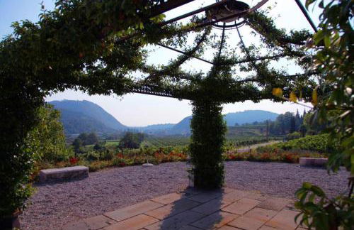 Villa Redona - Photo 30