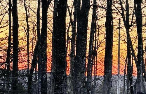 All Season Fun and Cozy Home in Island Falls, ME - Foto 20