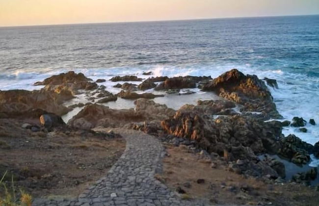 Finca El Castillo - Foto 52