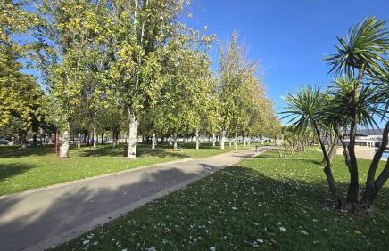 Ático con Piscina privada y Solarium en la Ràpita - Photo 28