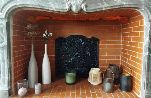 Nancy Vieille Ville Stanislas - Foto 22