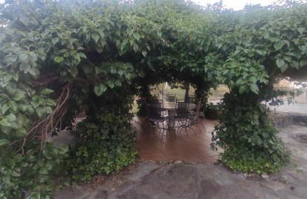 Increíble Casa Rural en la Sierra de Altomira Piscina privada y Barbacoa - Foto 42