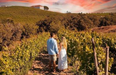 Maçussa Country House - Foto 11