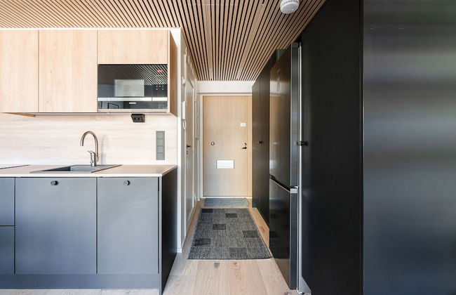 Fabulous & Historical Top Floor Loft in Pyynikki - Foto 9