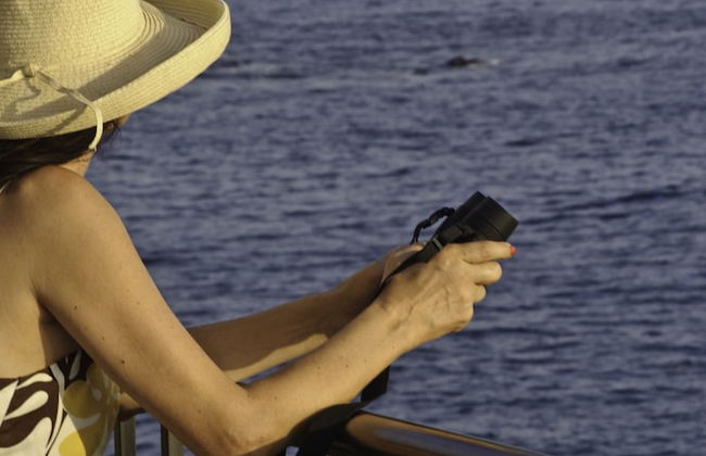 Whalers Cove Oceanfront Resort - Photo 51