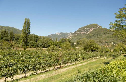 Agriturismo I Melograni - Foto 31