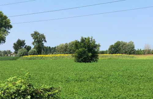 Pecore Ribelli - Photo 10