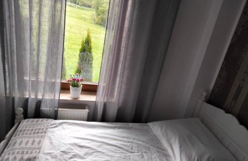 Przy Trójstyku - Foto 49