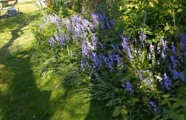 Badgers Rest retreat - Foto 12