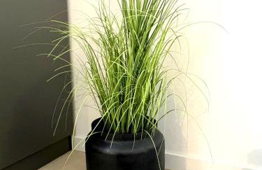 Villa Meliora - Foto 62