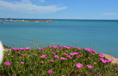 El Apartamento De Papá - Mil Palmeras - Foto 31